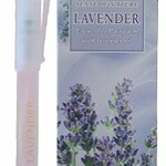 Lavender (Aroma Essence)