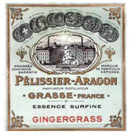 Essence Surfine Gingergrass (Nogara / Péllisier-Aragon / Les Fontaines Parfumées)