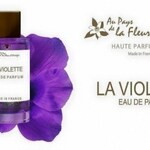 La Violette (Au Pays de la Fleur d'Oranger)