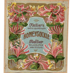 Honeysuckle (Mellier Co.)
