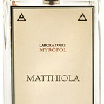 Matthiola (Myropol)
