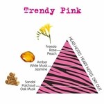 Fashion - Trendy Pink (Aquolina)