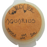 Aquarius Man (Solid Perfume) (Wild Veil Perfume)