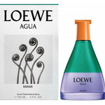 Agua Miami (Loewe)