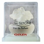 Violet Glycine (Pupa)