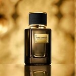 Velvet Black Patchouli (Dolce & Gabbana)