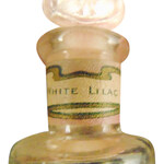White Lilac (C. B. Woodworth & Sons Co.)