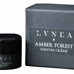 Amber Forest (Lvnea)