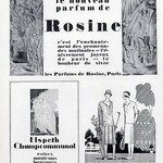 Avenue du Bois (Les Parfums de Rosine)