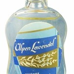Alpen Lavendel (Dr. M. Albersheim)