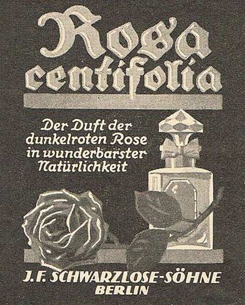 Rosa Centifolia 1910 by J.F. Schwarzlose Berlin » Reviews