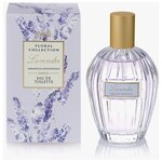Floral Collection - Lavender / Lavandula Angustifolia (Marks & Spencer)