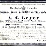 März-Veilchen (A. C. Leyer)