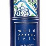 Wild Carrot Iris (1000 Flowers)