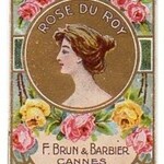 Rose du Roy (F. Brun & Barbier)