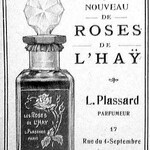 Les Roses de L'Hay (Plassard)