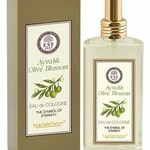 Ayvalık Olive Blossom (Eyüp Sabri Tuncer)