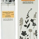 The Burren Botanicals - Autumn Harvest (The Burren Perfumery / Vincent)