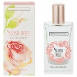 Blush Rose (Heathcote & Ivory)