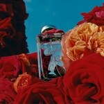 Red Roses Limited Edition 2022 (Jo Malone)