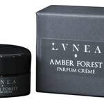 Amber Forest (2024) (Lvnea)