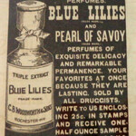 Blue Lilies (C. B. Woodworth & Sons Co.)