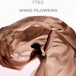 Wind Flowers (Creed)