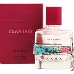 Dear Iris (Zara)