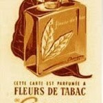 Fleurs de Tabac (1929) (Chérigan)