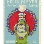 Elite Veilchen (Felix Meyer)