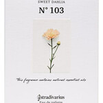 N° 103 Sweet Dahlia (Stradivarius)