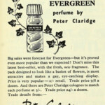 Evergreen (Peter Claridge)