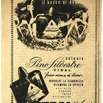 Pino Silvestre (Parfum) (Pino Silvestre)