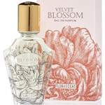 Velvet Blossom (Florascent)
