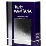 Tony Montana (GDK / Grey de Kouroun)