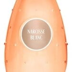 Narcisse Blanc (2020) (Caron)