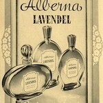 Lavendel (Alberna)