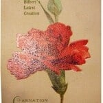 Carnation Pink (A. J. Hilbert & Co.)