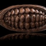 Cocoa 5 Senses - Eau de Cocoa (Cocoa 5 Senses)