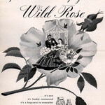 Wild Rose (Frances Denney)