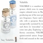 Volubilis (Perfume Oil) (Bruno Acampora)