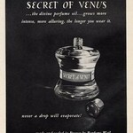 Secret de Vénus (Weil)