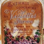 Violettes de Parme (Gustav Boehm)