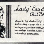 Chat Noir (Lady)