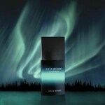 Nuit d'Issey Bois Arctic (Issey Miyake)