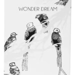 Wonder Dream (Andraus Parfums)