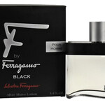 F by Ferragamo pour Homme Black (After Shave Lotion) (Salvatore Ferragamo)