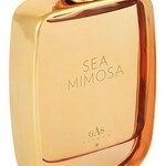 Sea Mimosa (Gas Bijoux)