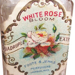 White Rose (Foote & Jenks)