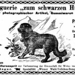 Wiener Wald-Veilchen-Bouquet (Droguerie zum schwarzen Hund)